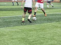 平博体育,资讯,平博体育平台,平博体育平台,平博体育官方网站,平博体育登录入口,平博体育app下载