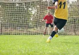 新西兰与香,港货币对比,平博体育,平博体育平台,平博体育官方网站,平博体育登录入口,平博体育app下载