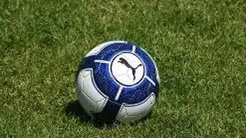 平博体育 资讯 115228 8li