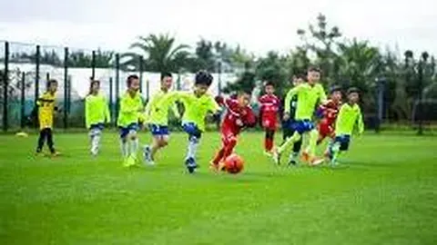 中国信通院：今年1-9月手机出货量中，智能手机占比高达91.8%，出货量达2.02亿部