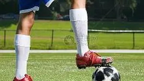 平博体育 产品 115745 u1l